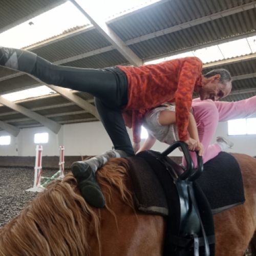 VOLTEO