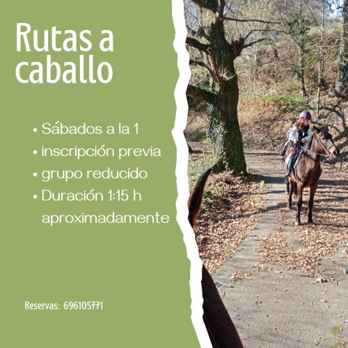 Todos los sabados si la climatolog&iacute;a lo permite realizamos rutas a caballo por el rio pas, la mies de Arce, la Picota, etc. Una experiencia perfecta para disfrutar de la naturaleza a lomos de un caballo.