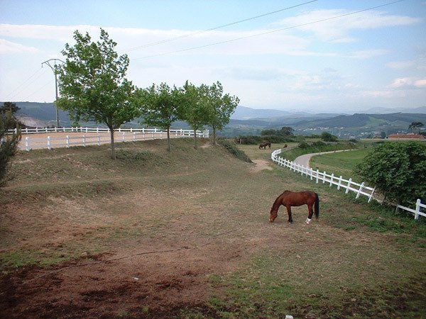 centro hipico los robles